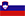 Slovenian Flag Information